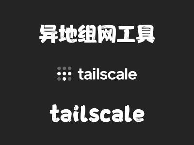 飞牛Nas部署 tailscale 实现异地组网